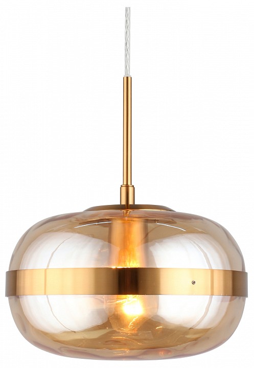 Подвесной светильник Aployt Gabriela APL.305.16.01 - 0