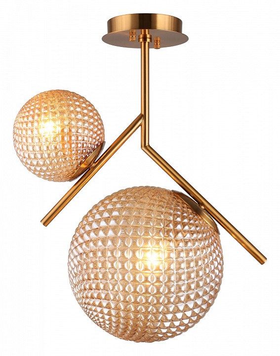 Светильник на штанге Aployt Marzena APL.300.17.02 - 0