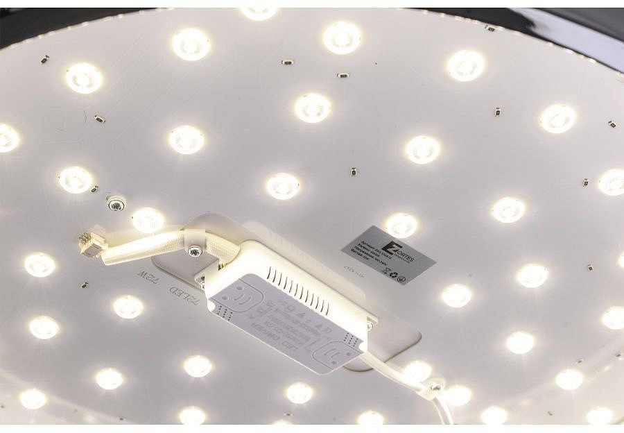 Накладной светильник Zortes Monna ZRS.1209.12 - 6