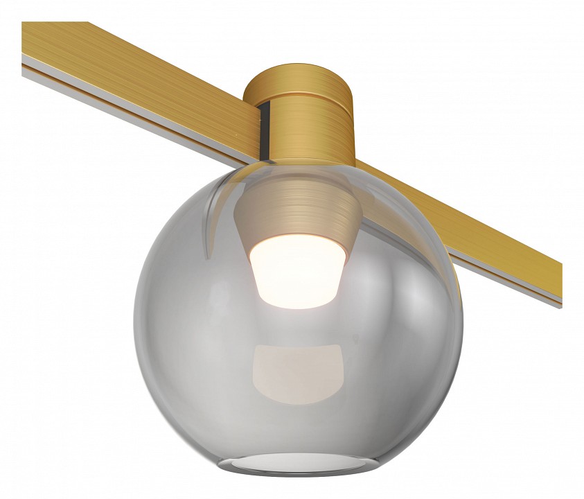 Накладной светильник ST-Luce Farm ST819.206.03 - 0