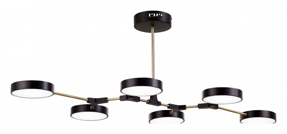 Люстра на штанге EVOLUCE Monta SLE6004-402-06 - 1