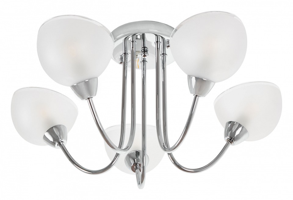 Люстра на штанге MyFar Ekaterina MR1291-5C - 0