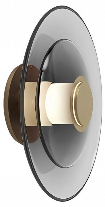 Накладной светильник Aployt Stefa APL.648.11.10 - 0