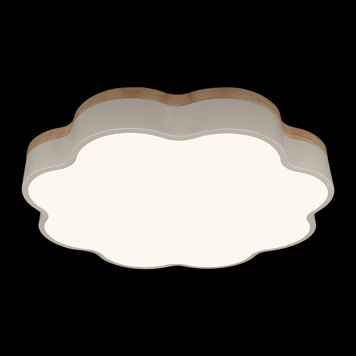 Накладной светильник Loft it Axel 10225/36 White - 4