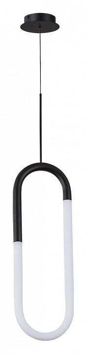 Подвесной светильник Arte Lamp Lumino A2233SP-20BK - 1