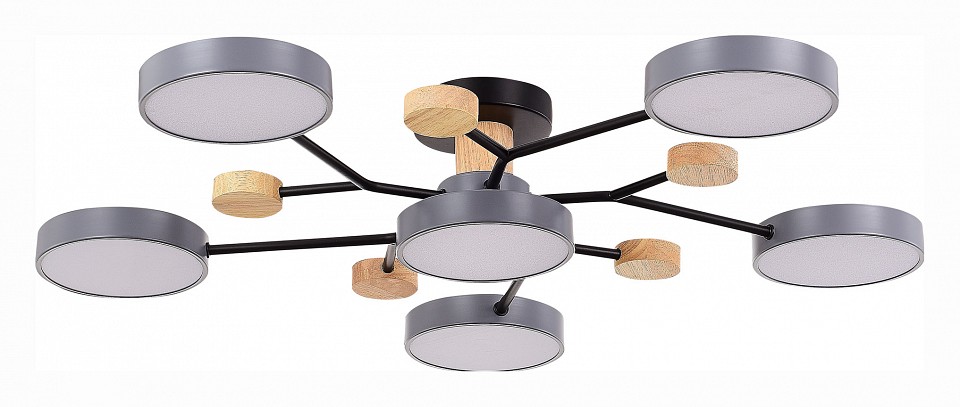 Потолочная люстра EVOLUCE Faema SLE6006-702-06 - 0