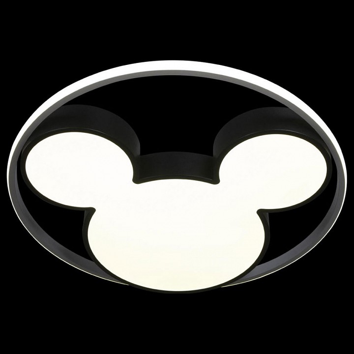 Потолочный светодиодный светильник Loft IT Mike 10166 - 2