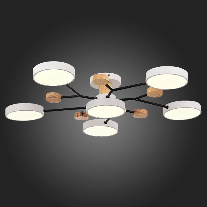 Потолочная люстра EVOLUCE Faema SLE6006-502-06 - 5