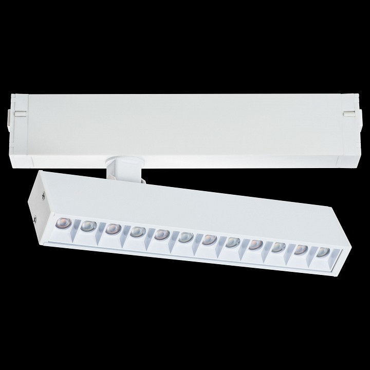 Светильник на штанге Lightstar Teta 205316 - 2