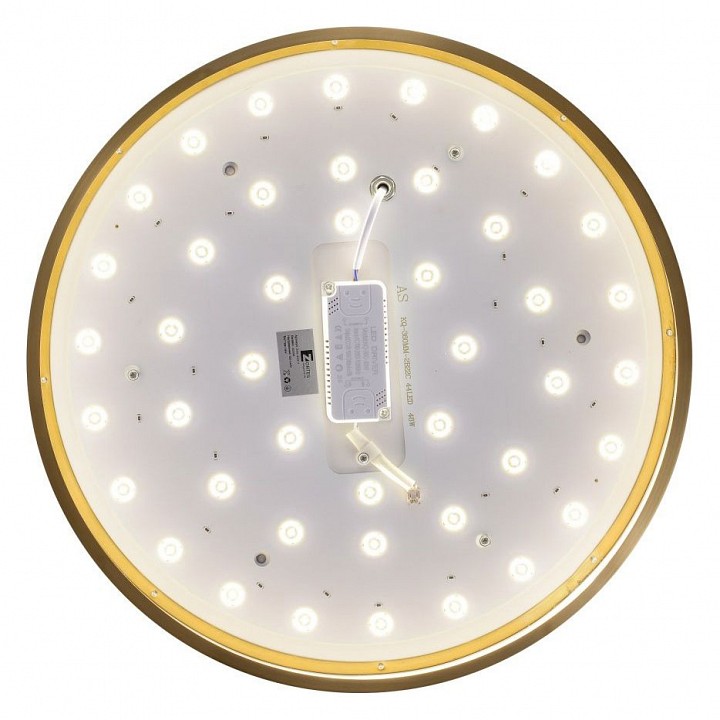 Накладной светильник Zortes Monna ZRS.1209.11 - 1