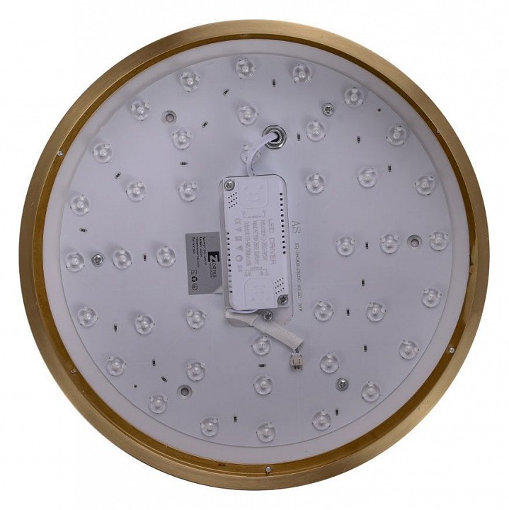 Накладной светильник Zortes Monna ZRS.1209.10 - 2