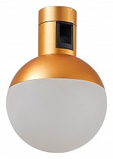 Светильник на штанге ST-Luce Farm ST815.206.05 - 1