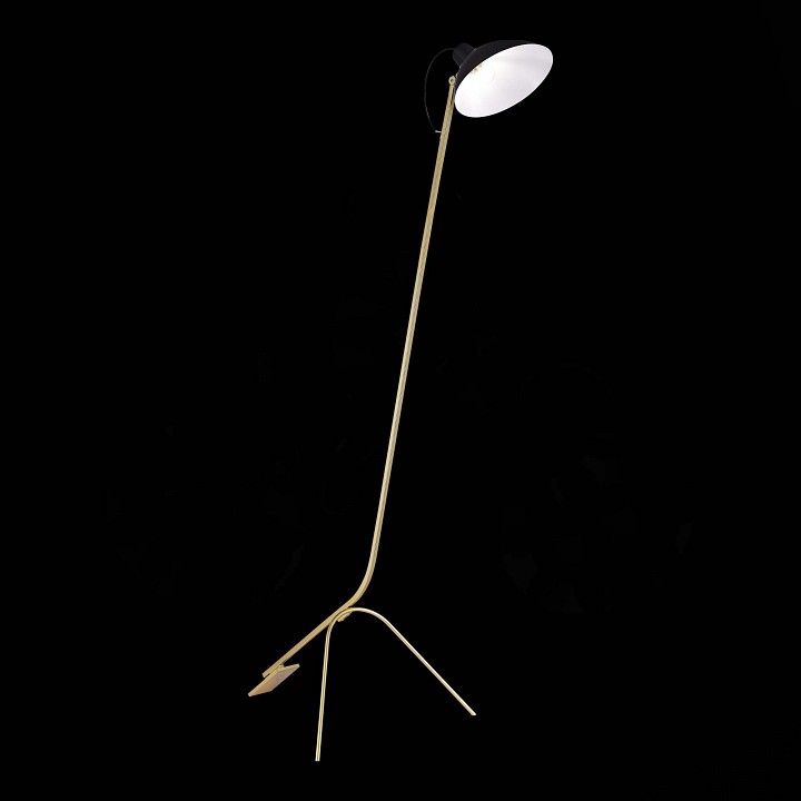 Торшер ST-Luce Jarro SL1803.205.01 - 2