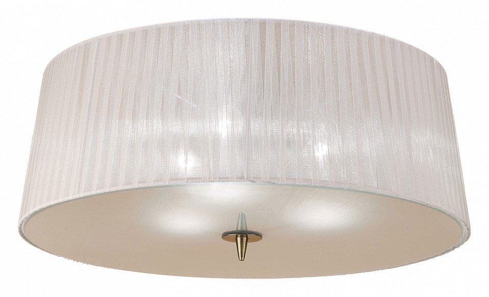 Потолочный светильник Mantra Loewe 4740 - 0