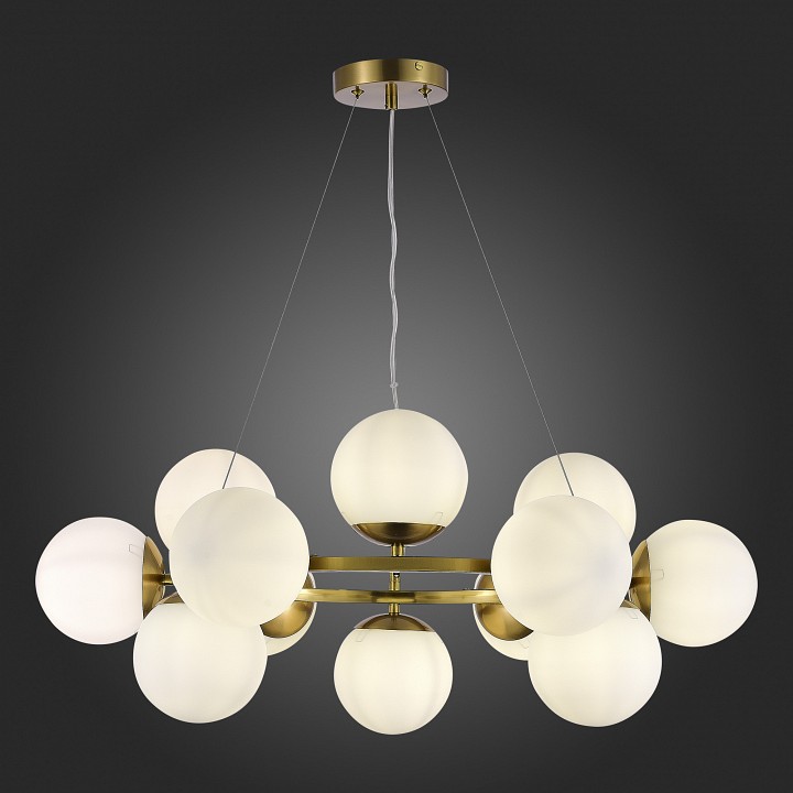 Подвесная люстра EVOLUCE Fratta SLE1191-203-12 - 4