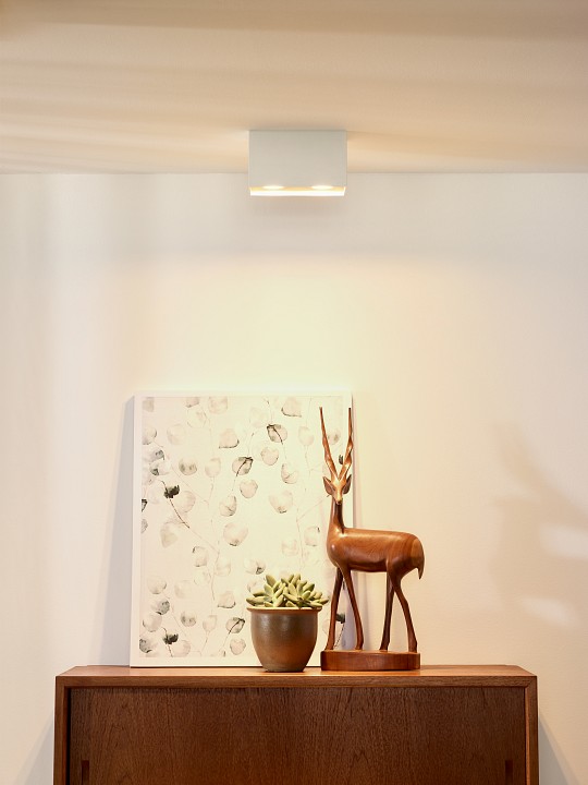 Потолочный светильник Lucide Bodi 09101/02/31 - 1