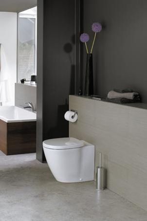 Чаша для приставного унитаза Ideal Standard Connect белый, без сиденья  E803401 - 3