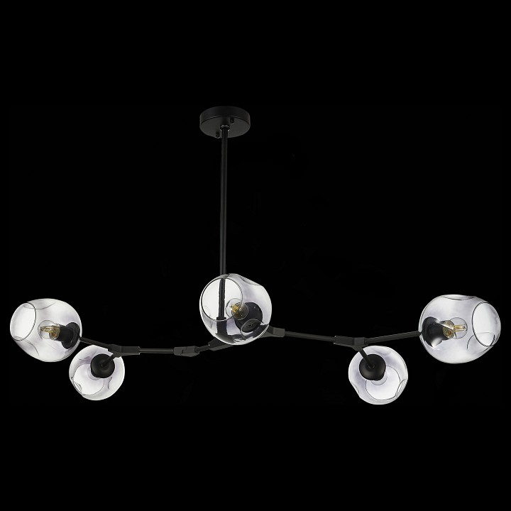 Подвесная люстра EVOLUCE Rametto SLE154843-05 - 2