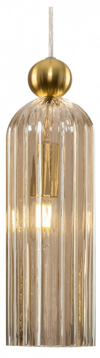 Подвесной светильник Maytoni Antic MOD302PL-01CG - 0