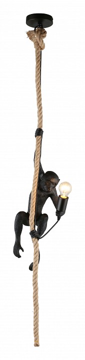 Подвесной светильник Aployt Magali APL.309.16.01 - 1