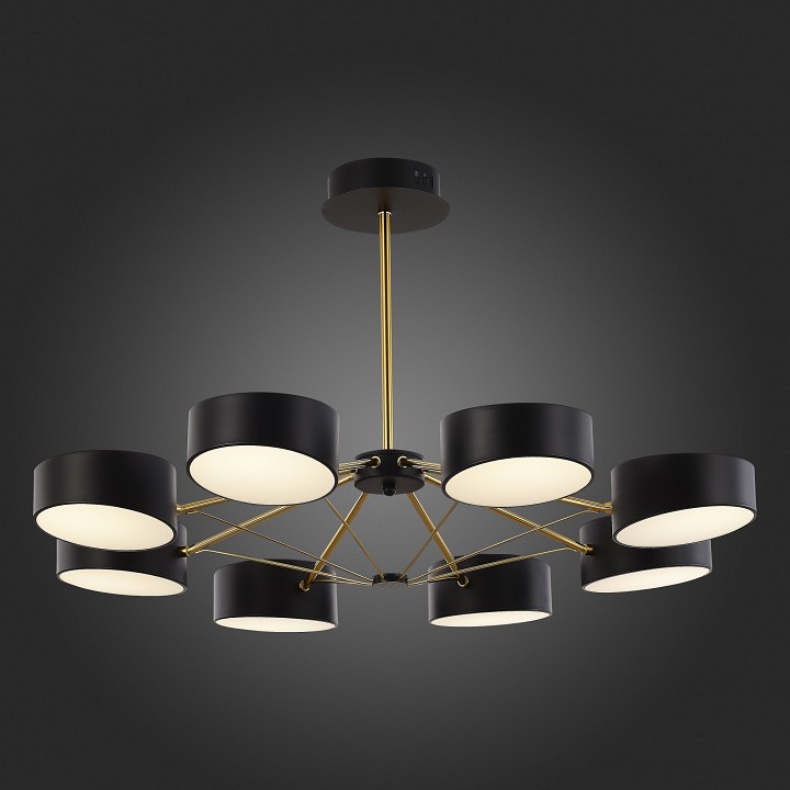 Люстра на штанге EVOLUCE Valle SLE6005-402-08 - 4