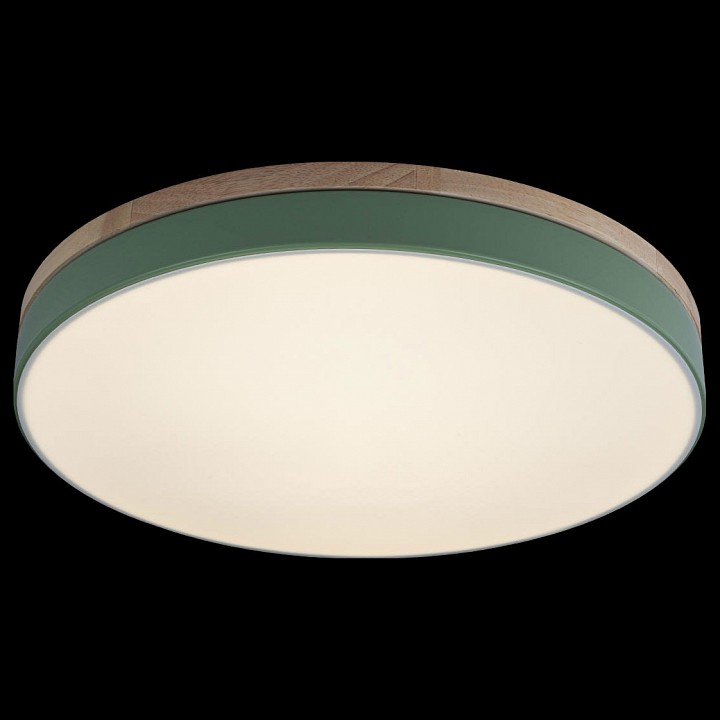 Накладной светильник Loft it Axel 10001/36 Green - 2
