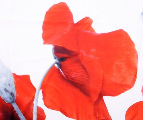 Штора для ванной Wasserkraft Main SC-47101 - 6