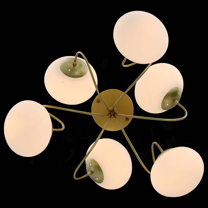 Люстра на штанге EVOLUCE Acini SL717.202.06 - 2