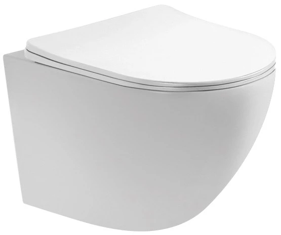 Унитаз подвесной Aquatek Европа 49 белый с сиденьем микролифт  AQ1900-00 - 0