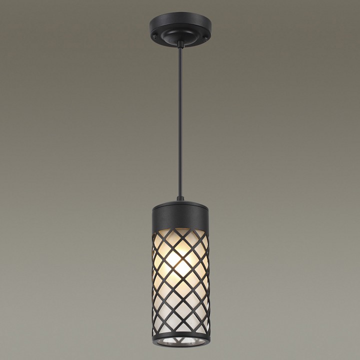 Уличный подвесной светильник Odeon Light Nature Dunes 4834/1 - 1