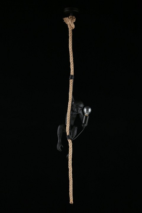 Подвесной светильник Aployt Magali APL.309.16.01 - 3