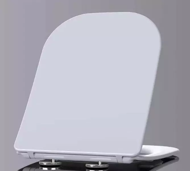 Сиденье для унитаза Esbano Gartez с системой микролифт, белый  ZAESUPGARTW0801 - 0