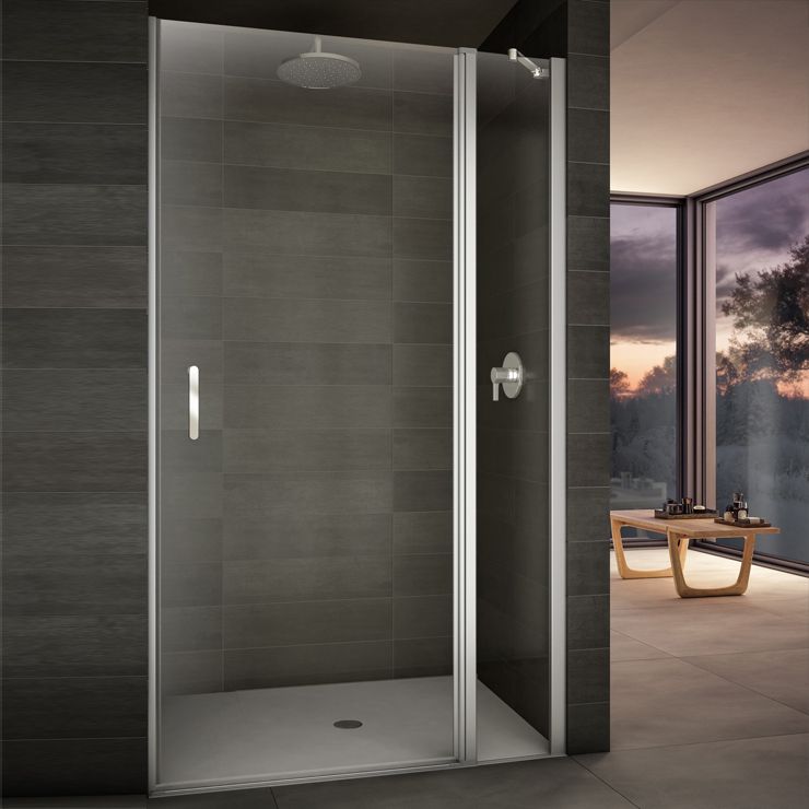 Душевая дверь в нишу Provex Look 2006 LN 05 GL 110 см - 0