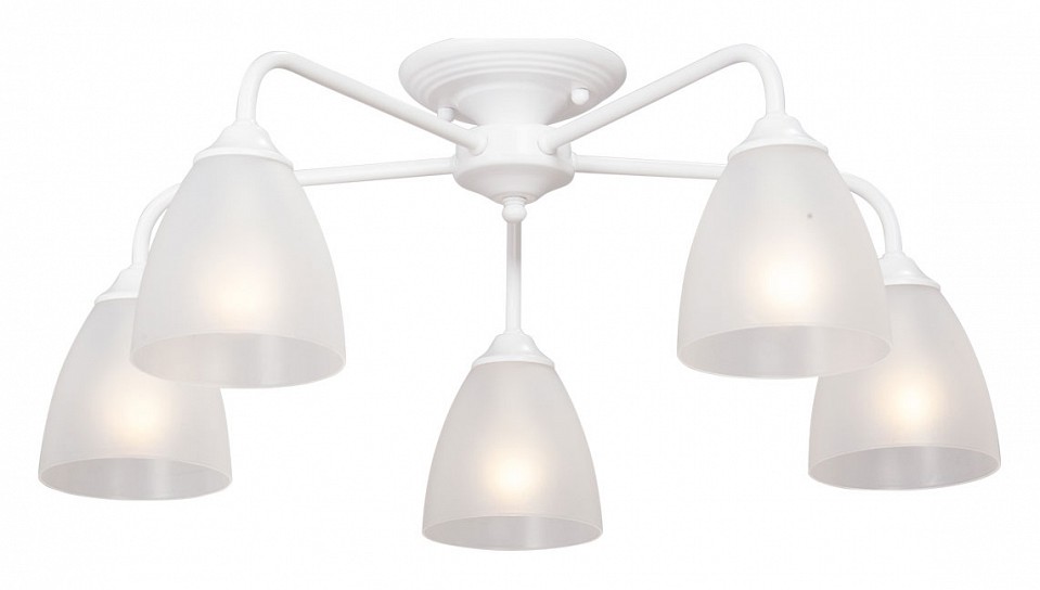 Потолочная люстра Vitaluce  V3946-0/5PL - 0