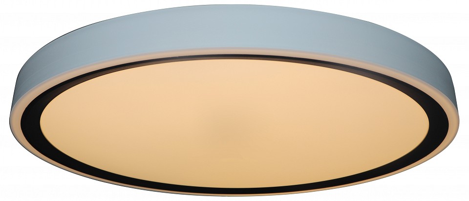 Накладной светильник Zortes BELLA ZRS.1201.11 - 7