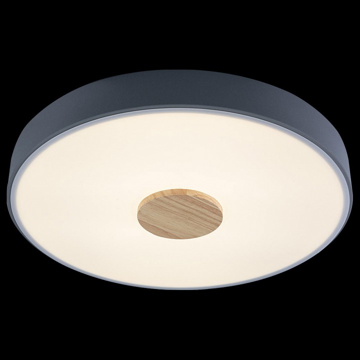 Накладной светильник Loft it Axel 2 10003/24 Grey - 3