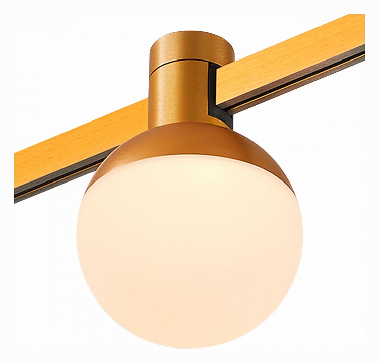 Светильник на штанге ST-Luce Farm ST815.206.05 - 4