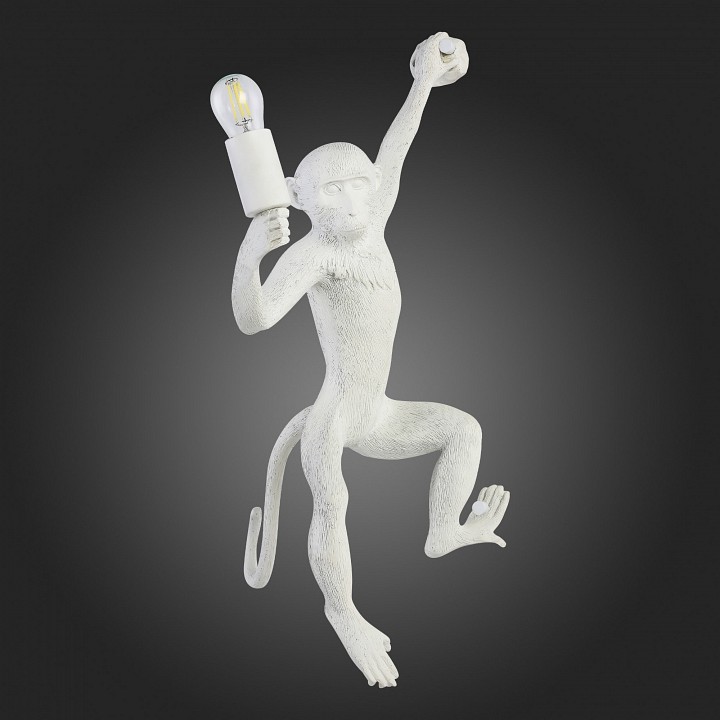 Накладной светильник EVOLUCE Tenato SLE115111-01 - 4