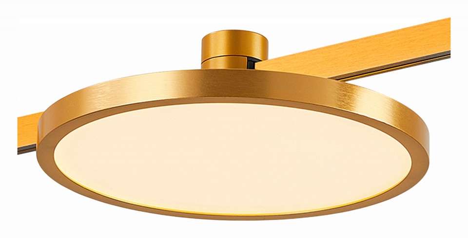 Накладной светильник ST-Luce Farm ST818.206.12 - 2