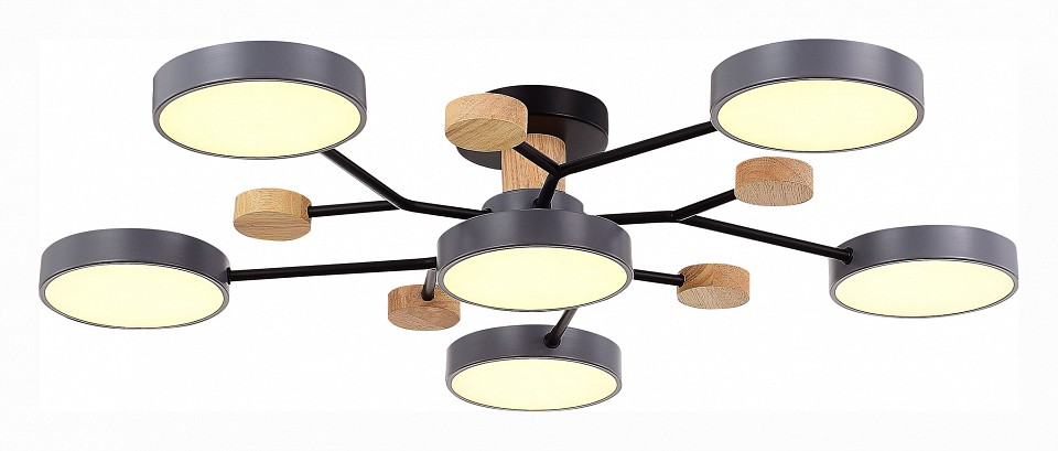 Потолочная люстра EVOLUCE Faema SLE6006-702-06 - 1