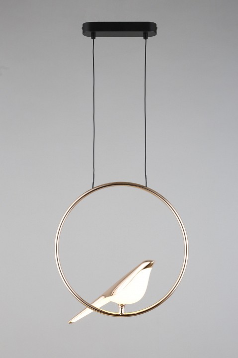 Подвесной светильник Aployt Astor APL.822.06.10 - 4