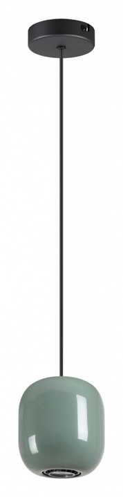 Подвесной светильник Odeon Light Ovali 5053/1C - 2