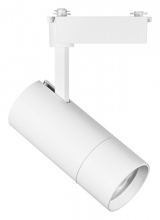 Светильник на штанге Lightstar Volta 229336 - 0