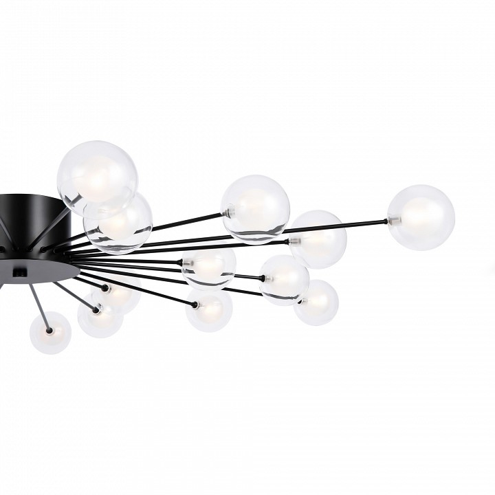 Потолочная люстра Freya Celebrity FR5242CL-24B1 - 2