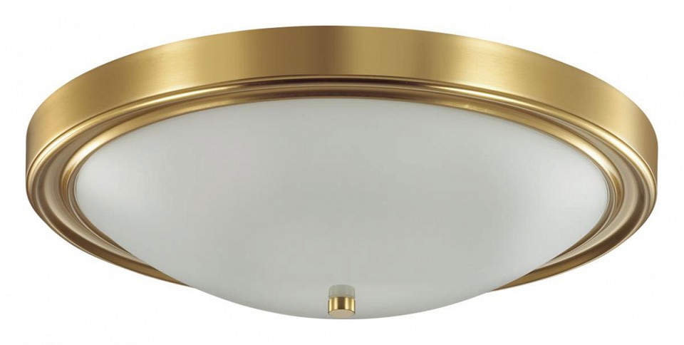 Настенно-потолочный светильник Lumion Vintage Nina 5259/4C - 0