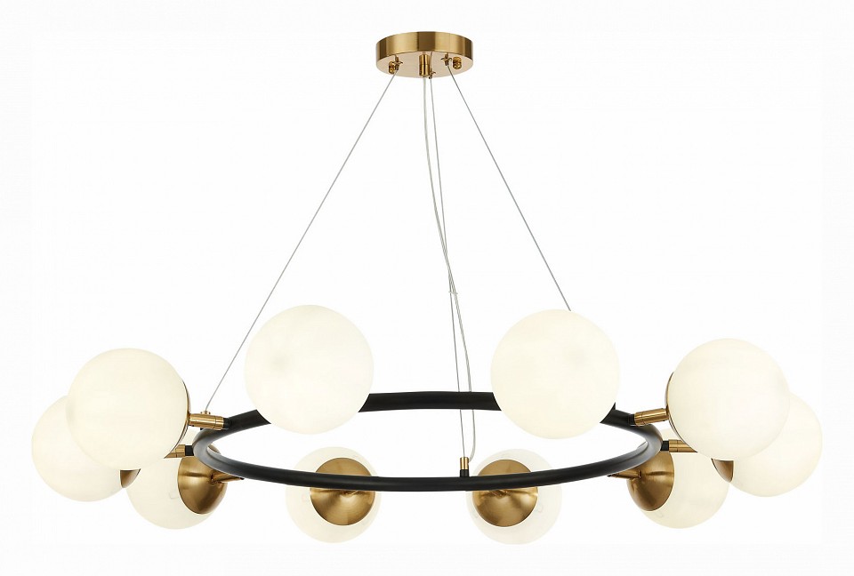 Подвесная люстра EVOLUCE Forli SLE220403-10 - 1