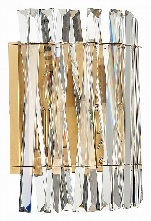 Накладной светильник ST-Luce Fabio SL1170.301.02 - 0