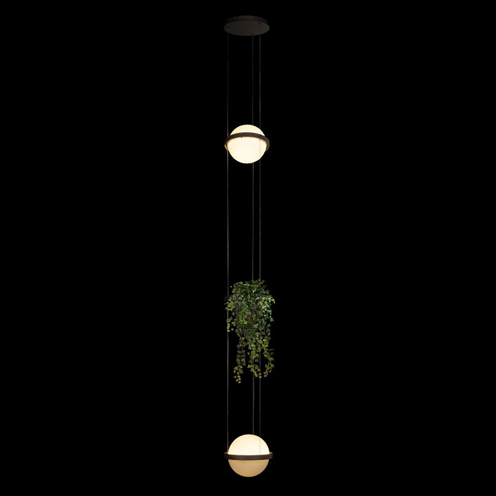 Подвесной светильник Loft it Jardin 10121/2P Dark grey - 1