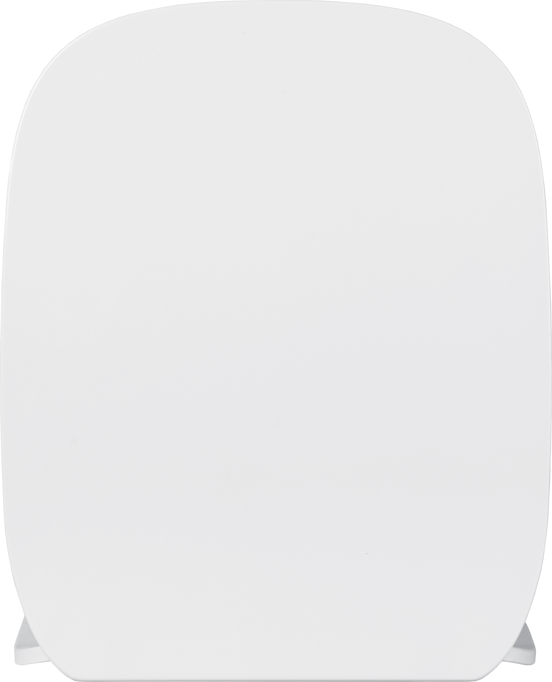 Крышка-сиденье Roca Debba 8019D2003P c микролифтом, петли хром - 2