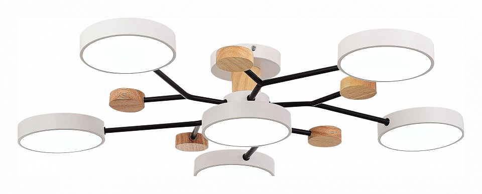 Потолочная люстра EVOLUCE Faema SLE6006-502-06 - 1